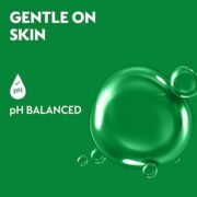 Dettol Liquid Handwash Refill - Skincare Moisturizing Hand Wash- 175ml - Image 5