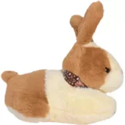 Sweet bunny Huggable Teddy Bear Plush Soft Toy for Boys/Girls - 28 cm - Image 2